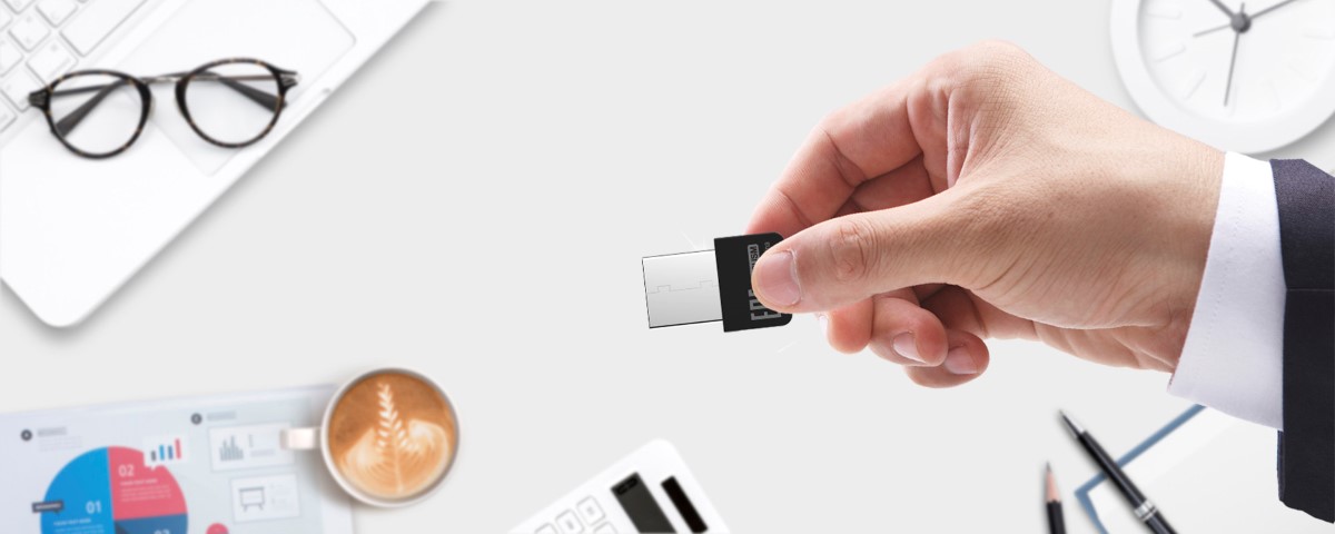 Card Mạng không dây USB Totolink N160USM 